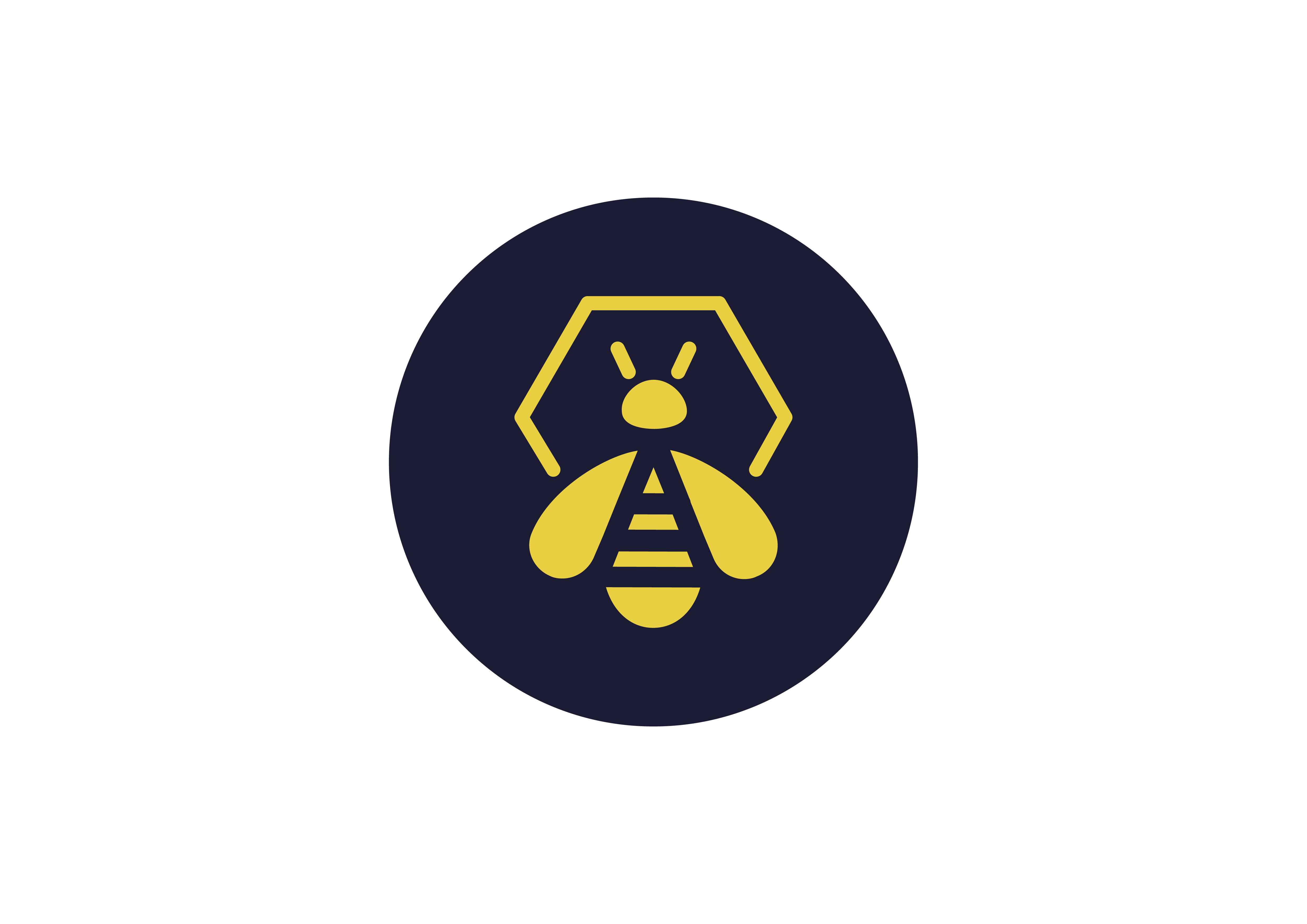 TheHive Project